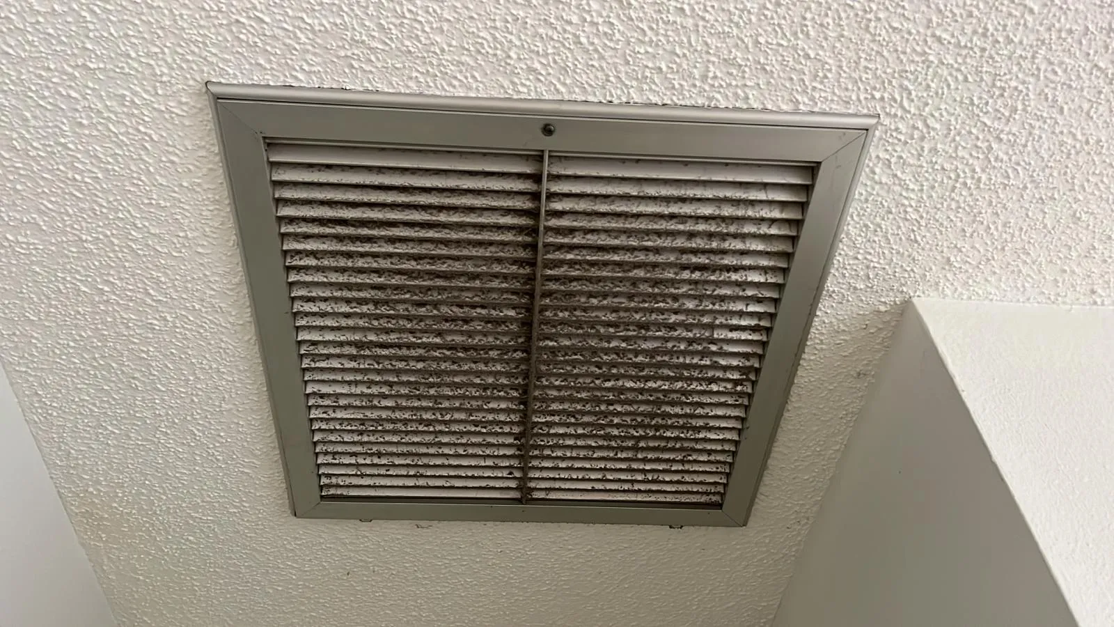 Before Cleaning Image
