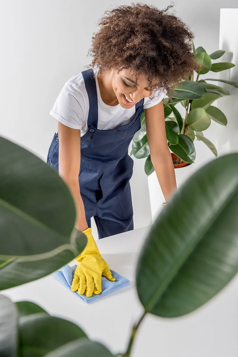 Smiling young African lady cleaning